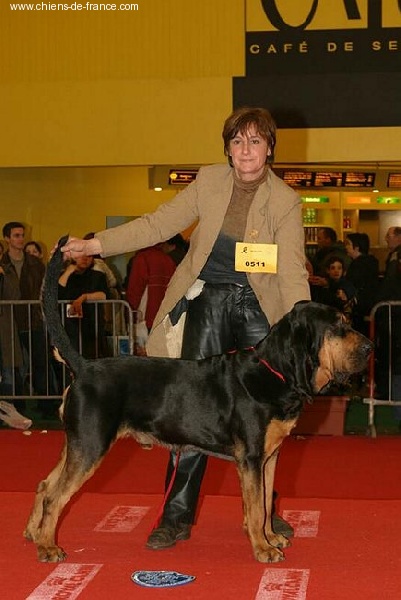 CH. Omar de la colline du bosc