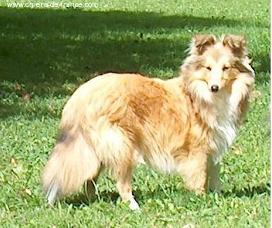 Publication : Lazy river of jurassic valley 