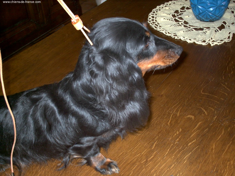 Publication : de la goutte du Chaity 