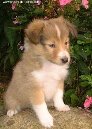 Publication : Lazy river of jurassic valley