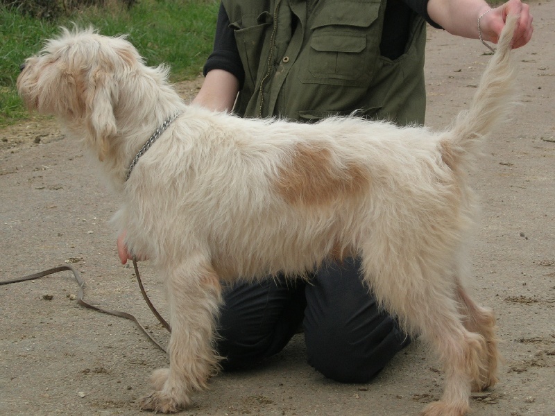 Publication : du sentier d'Aimeron 