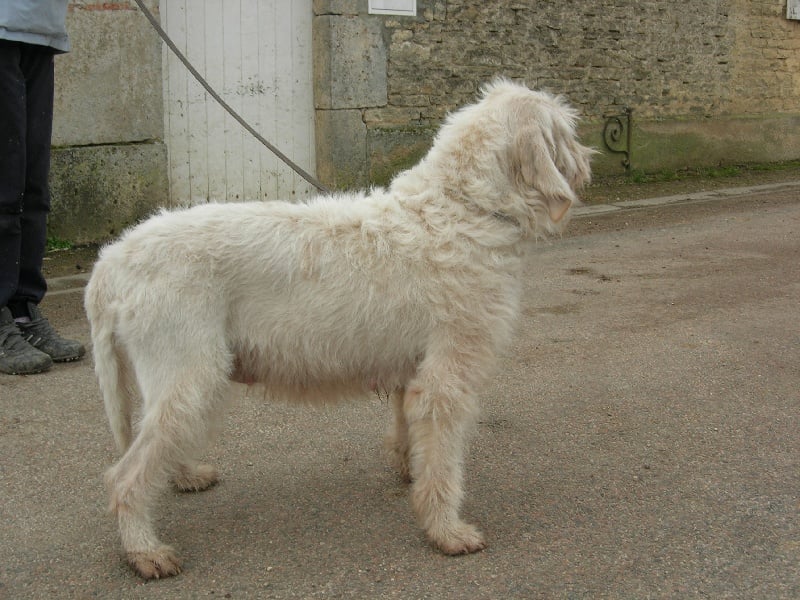 Oranthe du sentier d'Aimeron