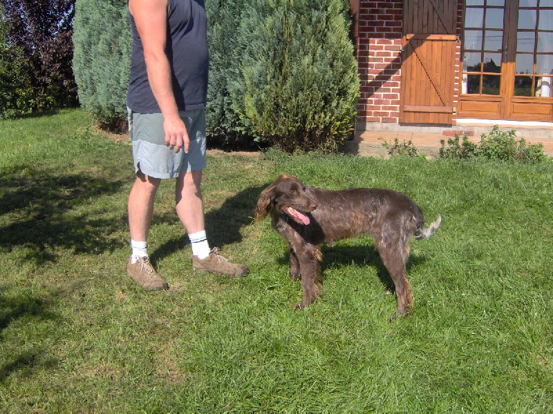 Publication : de Thailane 