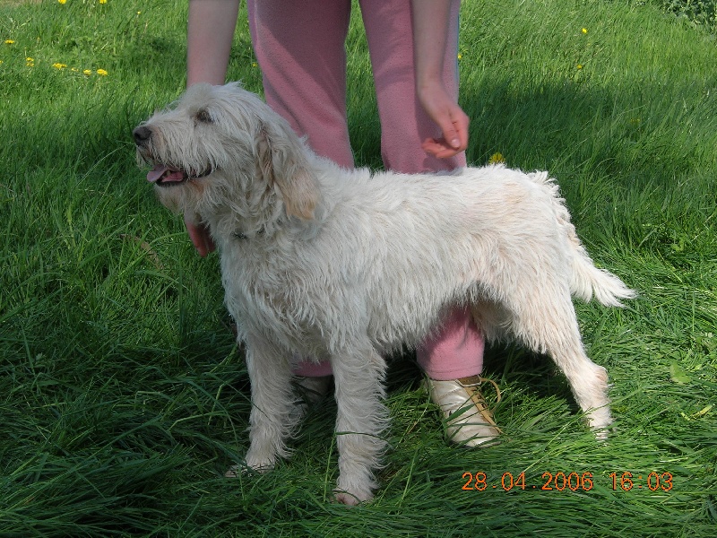 Sologne du sentier d'Aimeron