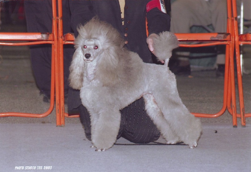 Publication : Del rey rakashi 