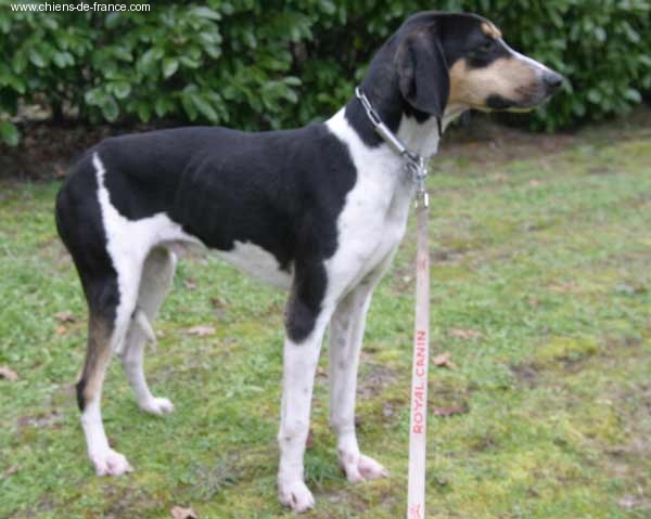 Publication : du Val D'Ambronne 