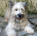 Unelite De la fontegude