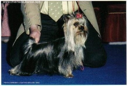 R'look ii du Ly's D'Eden