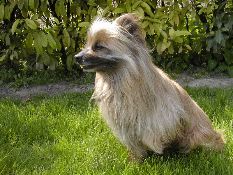 Proust du lavoir des Marais