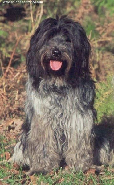 Publication : Something Else 