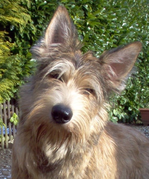 CH. Elysée des Vermondiers