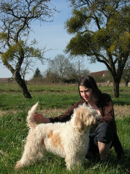 CH. Ulma du sentier d'Aimeron