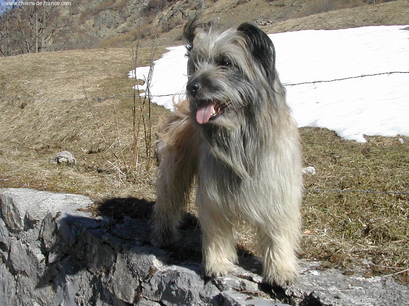 Publication : du lavoir des Marais 