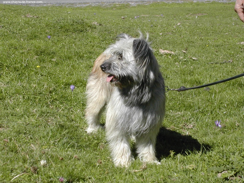 Publication : du lavoir des Marais