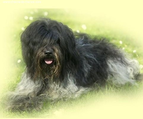 Publication : Something Else 