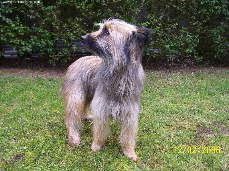 Publication : du lavoir des Marais 