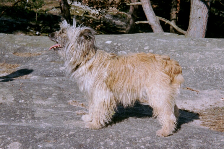 Niquita du lavoir des Marais