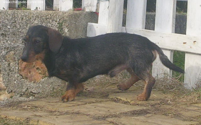 Publication : Hasbaya