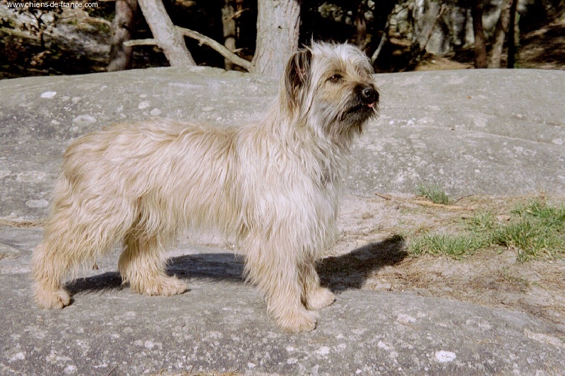 Publication : du lavoir des Marais 