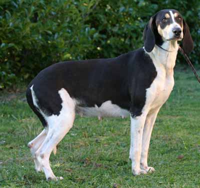 Publication : du Val D'Ambronne 