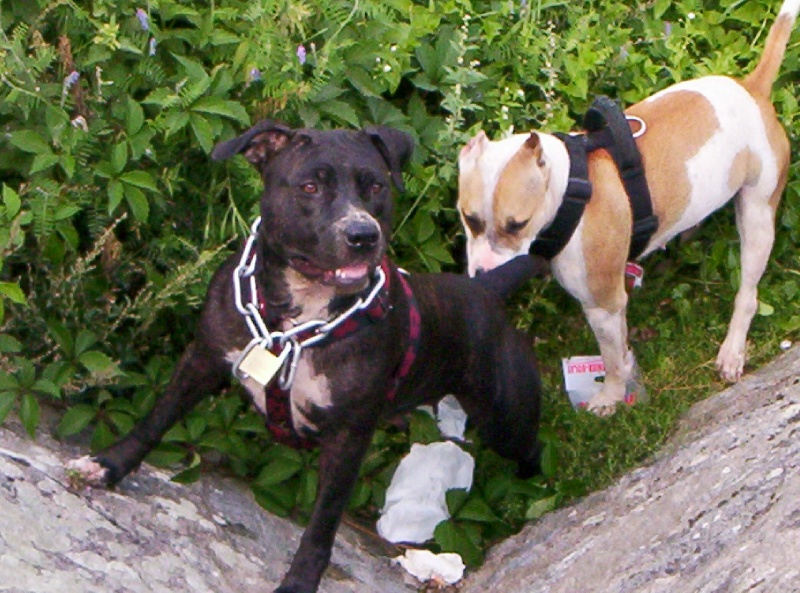 Thia's' Original superstar