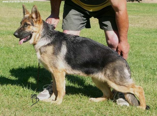 Anaïs De la drouette