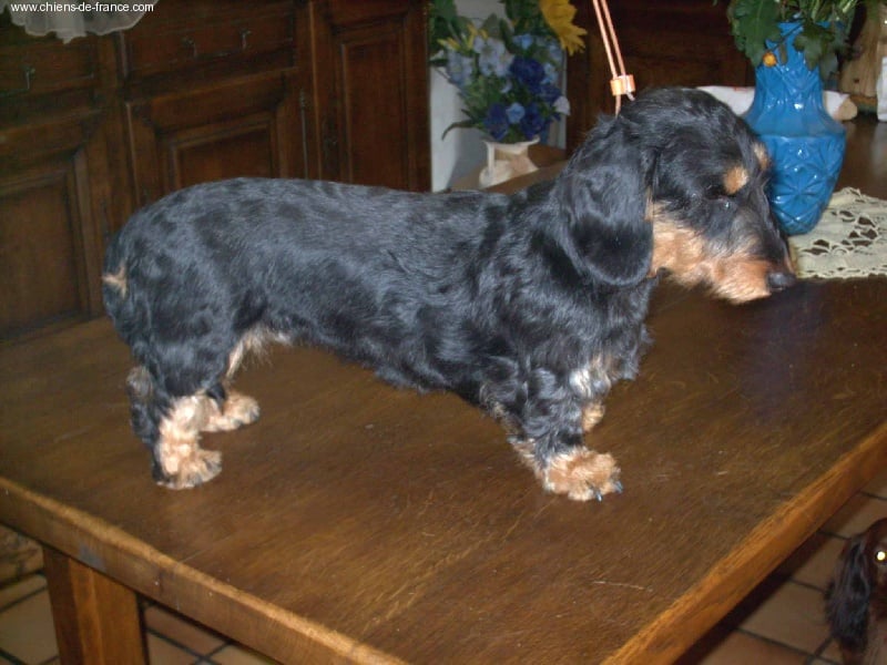 Publication : de la goutte du Chaity