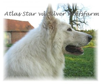 Publication : Of the silver wolfsfarm 