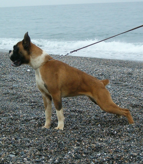 Publication : de la razon 