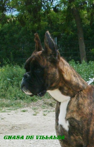 Publication : de Bellaterra