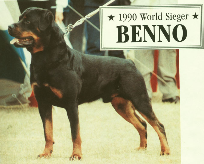 CH. Benno Schwarzen heide