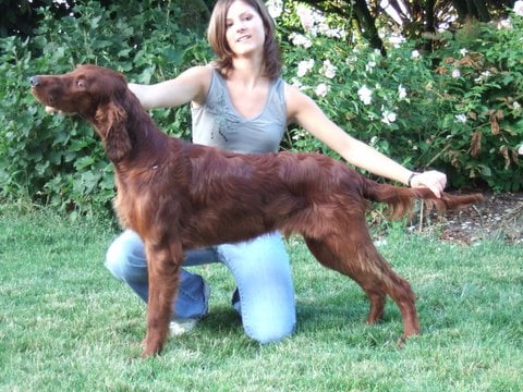 M'eudail Touch of class