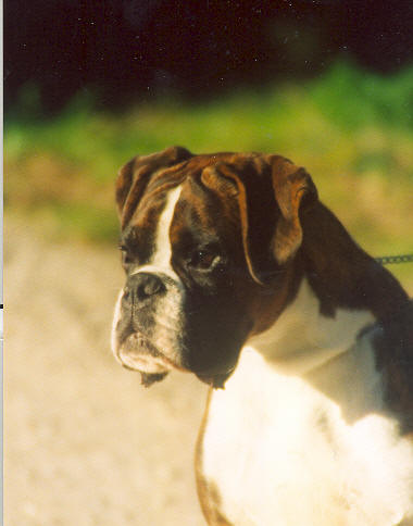 Publication : Urkabustaiz