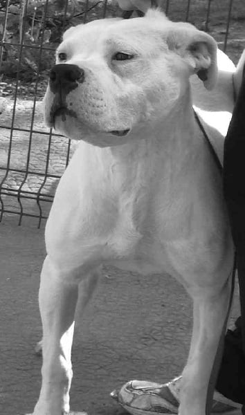 Publication : Du Pays Melusin 