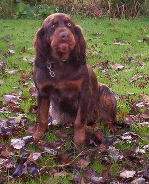 Publication : LA VALLEE DU PONT MEUR