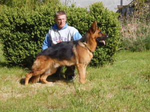 Publication : des Ardennes Brabanconnes Auteur : Marie-Paule Vanfraeyenhoven