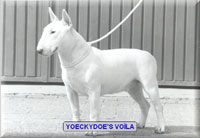 Yoeckydoe's Voila