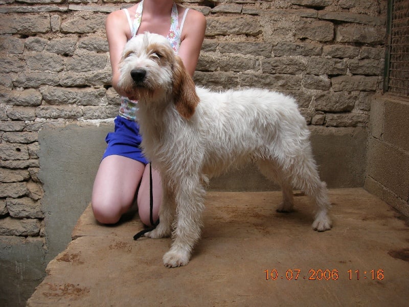 Publication : du sentier d'Aimeron 