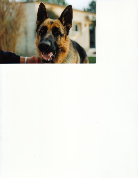 Publication : Des perles de l'étang 