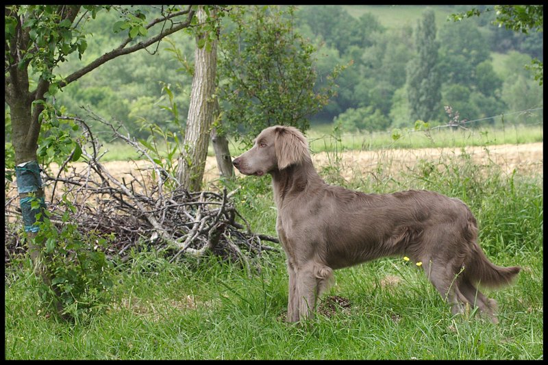 Publication : du domaine de guiaud