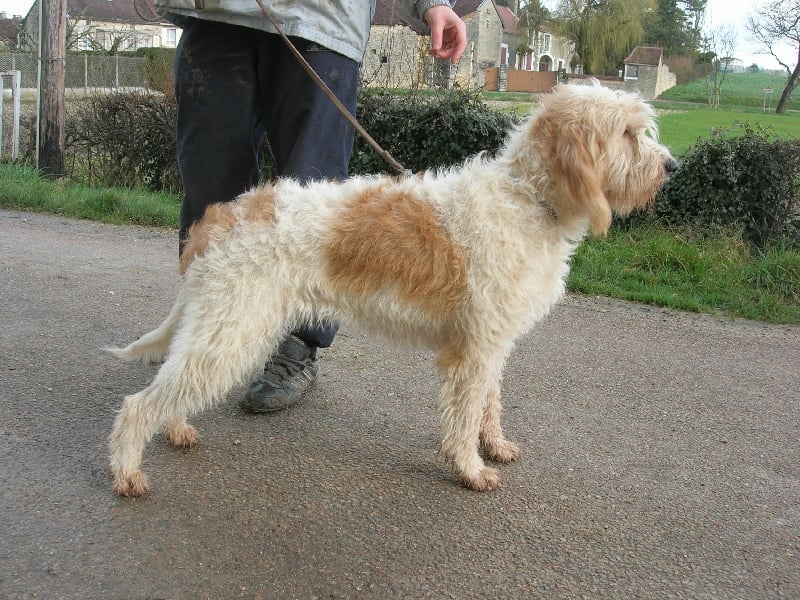 Publication : du sentier d'Aimeron 