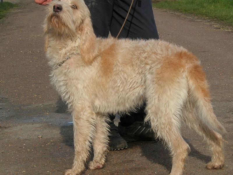 Publication : du sentier d'Aimeron 