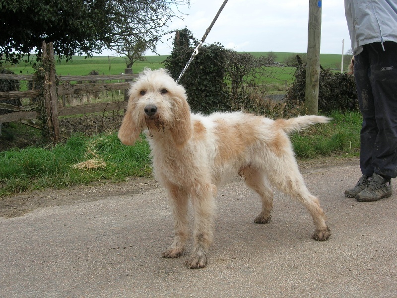 Publication : du sentier d'Aimeron 