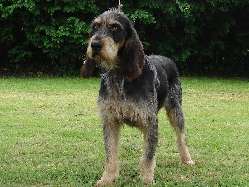 Publication : de la vallée du frout 