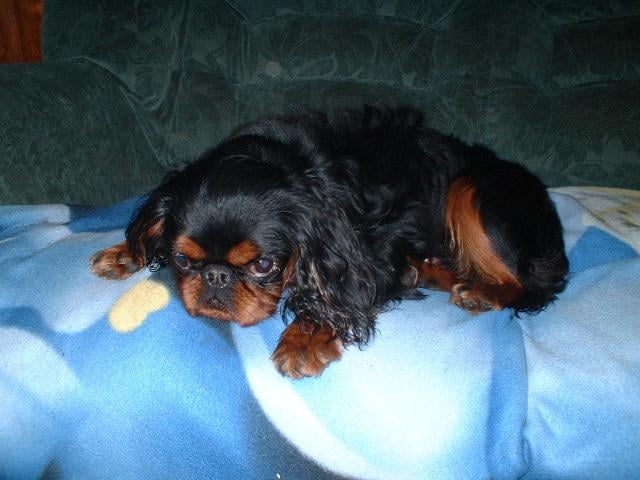 Publication : Du puits des sortileges 