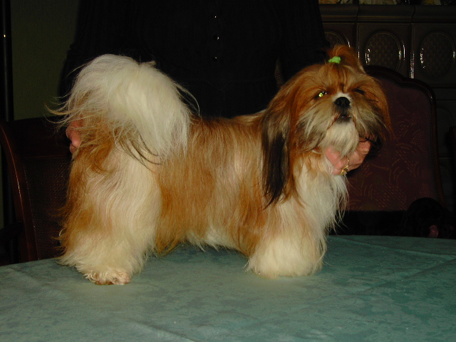 Publication : de la vallée des lotus 