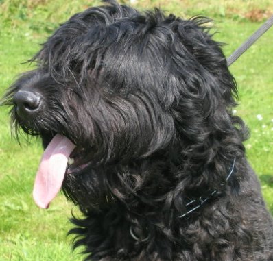 Publication : de la Genesis