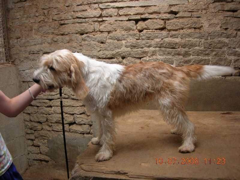 Publication : du sentier d'Aimeron 