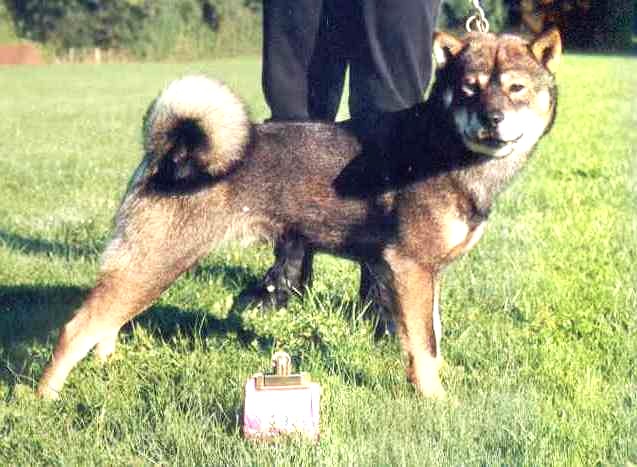 Publication : des Trésors de l'Eden 