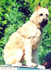 Publication : de la Genesis